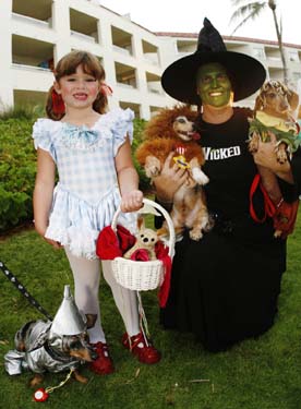 Pet Masquerade and Parade 2008 photo - Duval Street, Key West